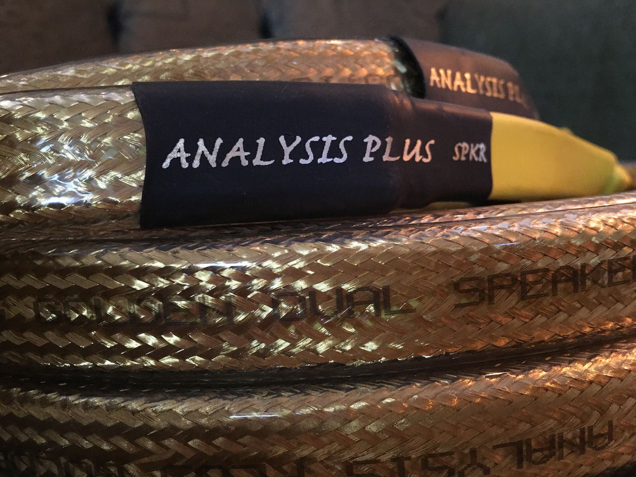 Analysis Plus Inc. Golden reference 5