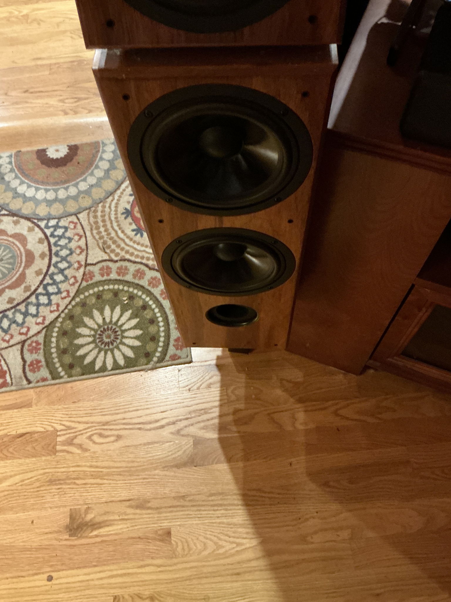 Von Schweikert Audio VR-4jr Full Range Speakers, Africa... 6