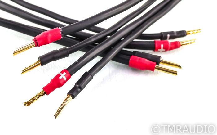 Synergistic Research Element Tungsten Speaker Cables; 1...