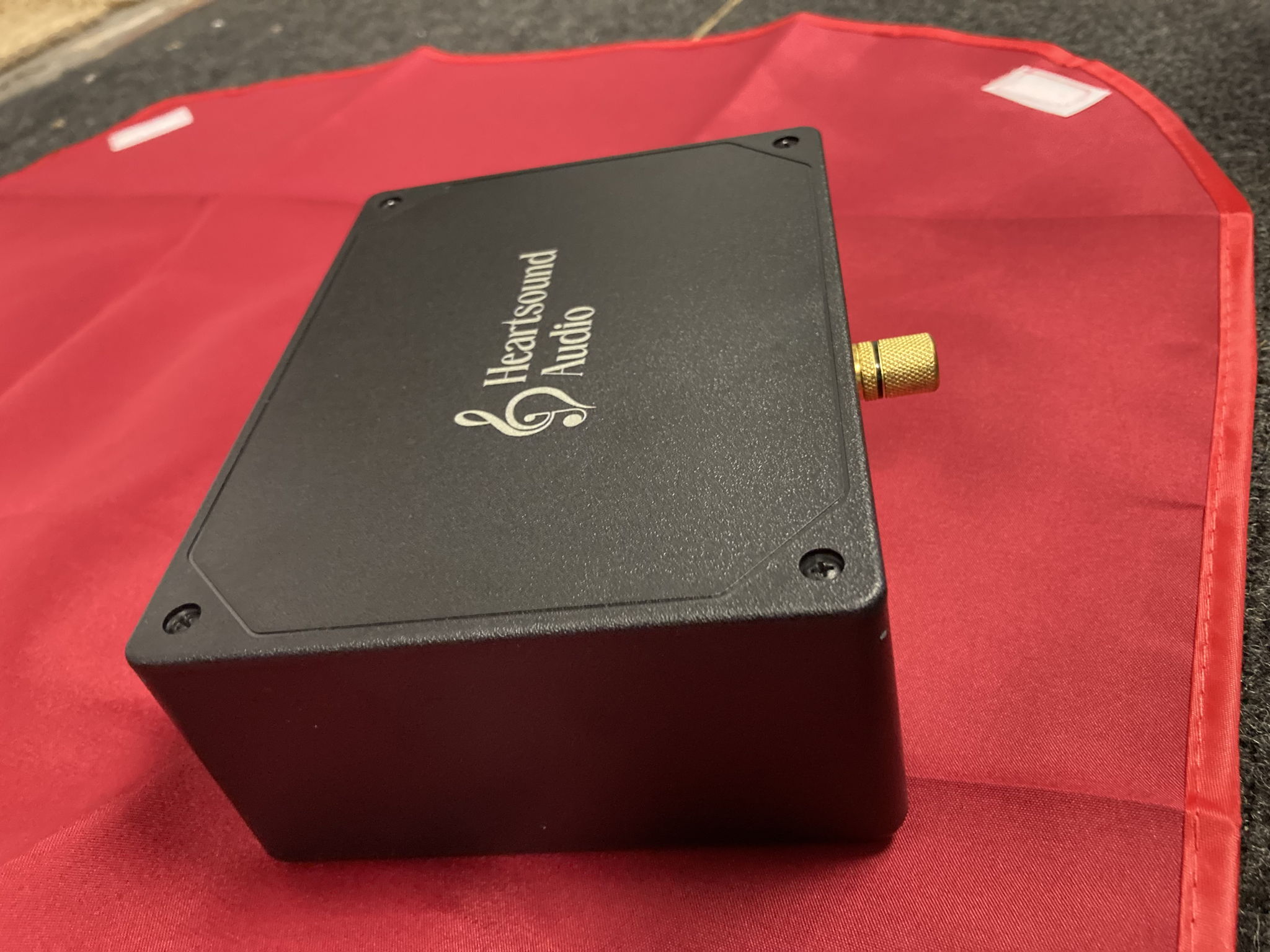 Heartsound Audio Grounding Box