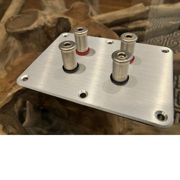 WBT Binding Post Connectors Plate Speakers DIY REDUCED