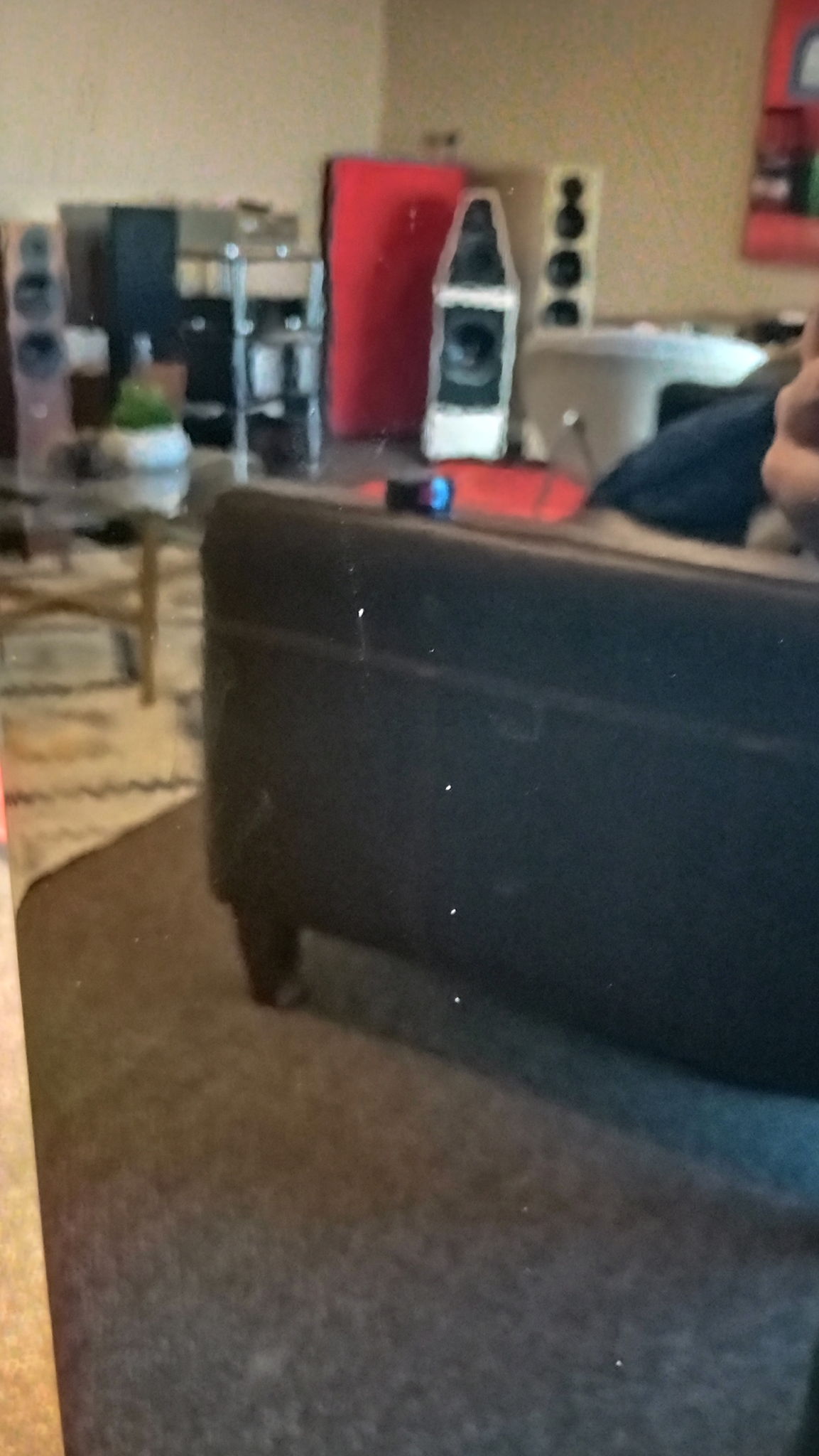 Martin Logan Motion 60XTi 10