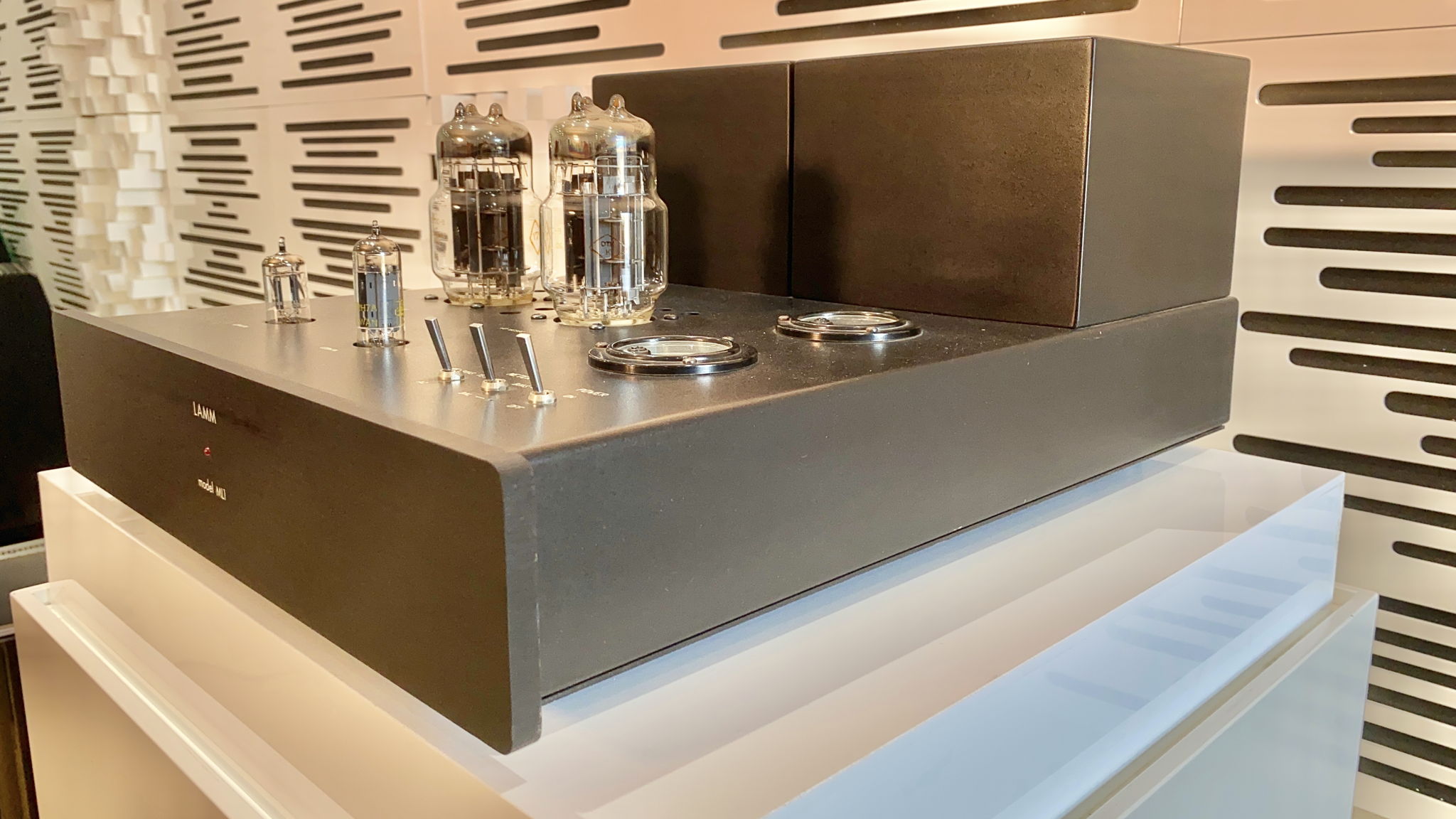 LAMM ML1 MONOBLOCK POWER AMPLIFIERS - NEW PRICE 9