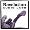 Upgrade for Lumin, Revelation Audio Labs 'CryoSilver™ R... 10