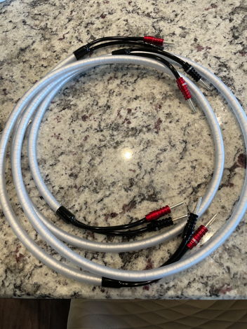 Chord Company Clearway X Speaker Cables