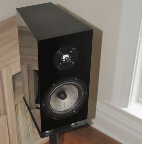 Verdant Audio - Blackthorn 1 - Carbon Fiber Cabinets (P...