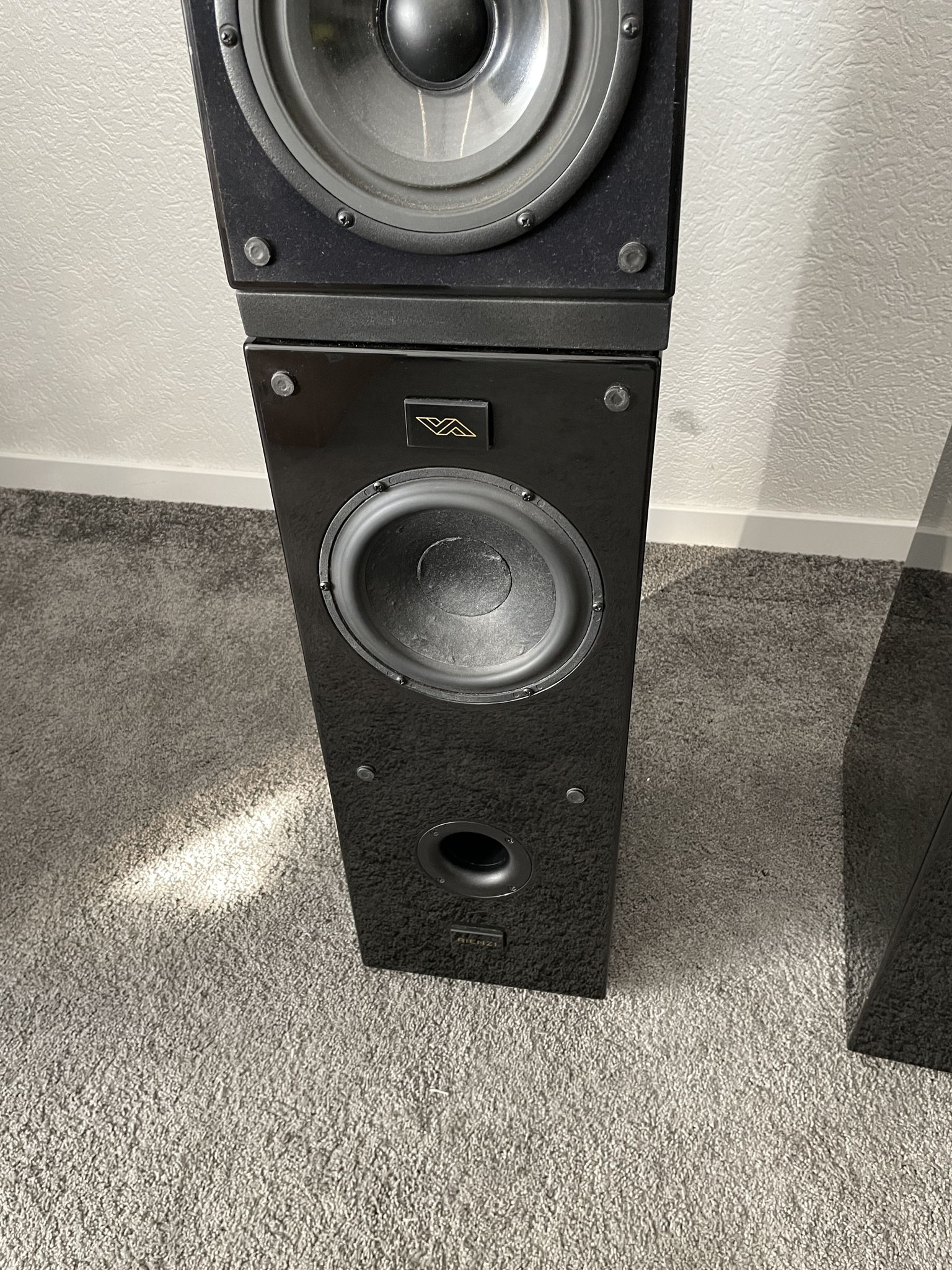 Verity Audio Rienzi speakers in black 11