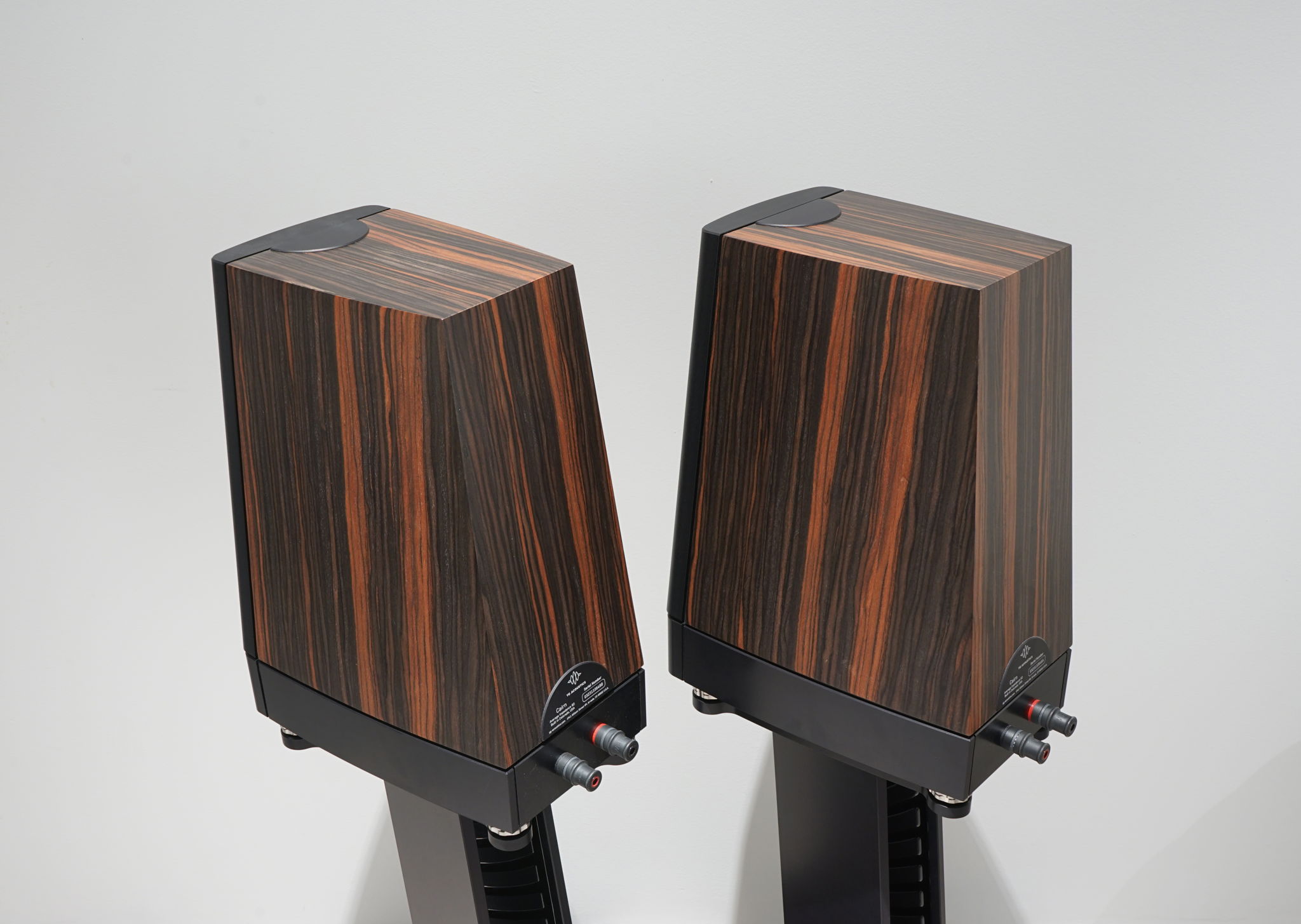 YG Acoustics Cairn, Ebony, w/ Stands 6