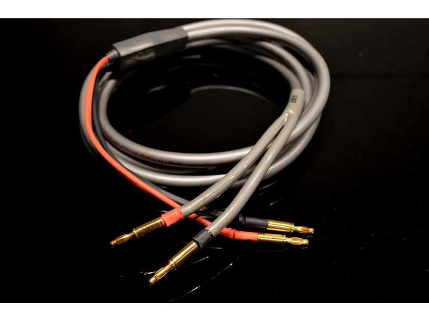 MIT ExpS2 Performance Speaker Cables - Banana Terminations - 10 Foot Pair