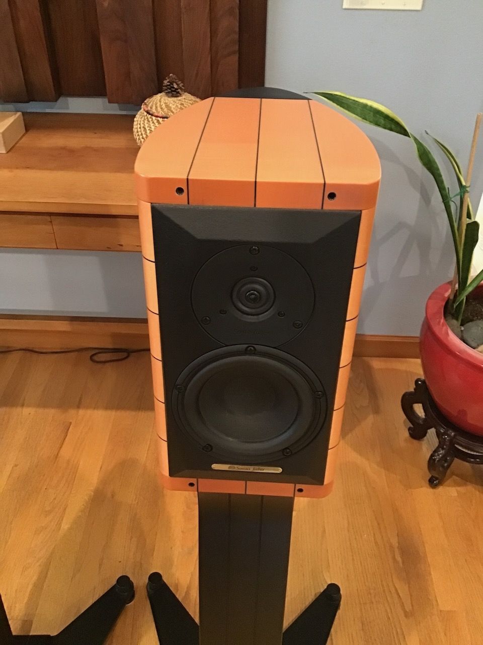 Sonus Faber Cremona Auditor M 6