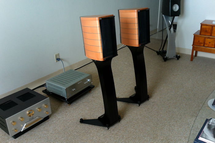 Sonus Faber Cremona Auditor M with Dedicated Stands in ...