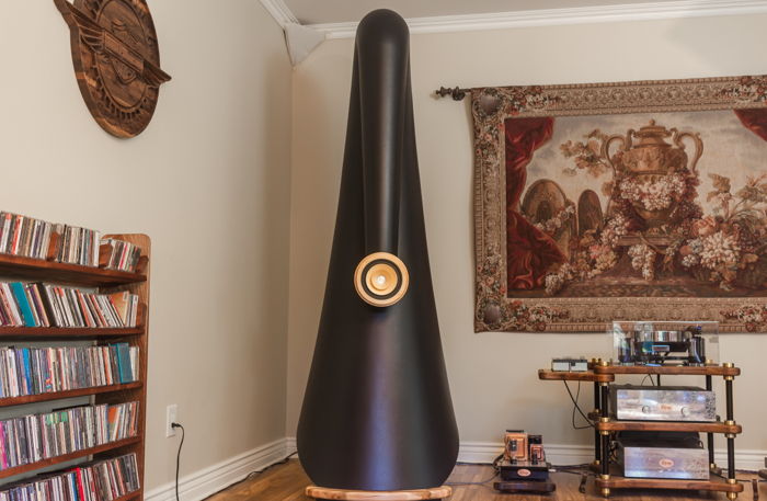 Charney Audio Concerto Lumaca with AER bd-3 High effici...