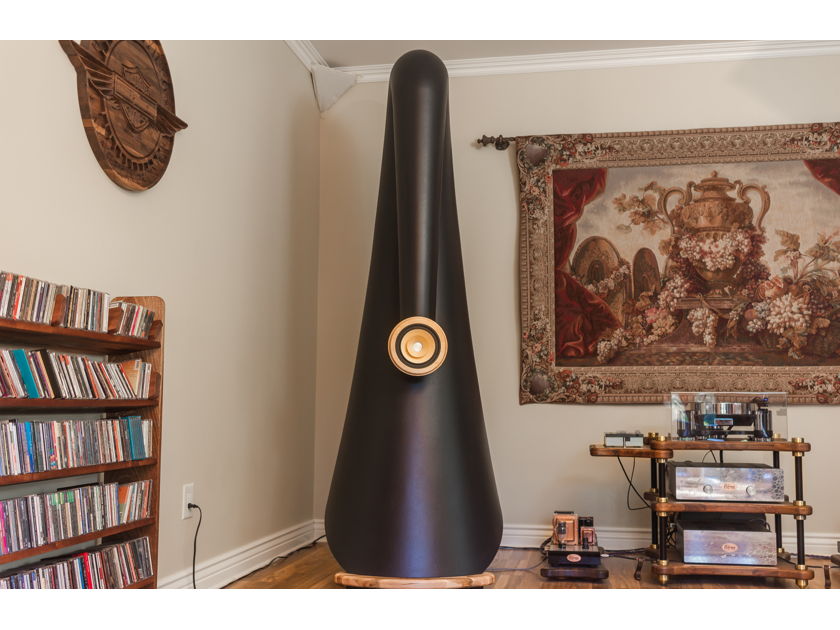 Charney Audio Concerto Lumaca with AER bd-3 High efficiency Drivers