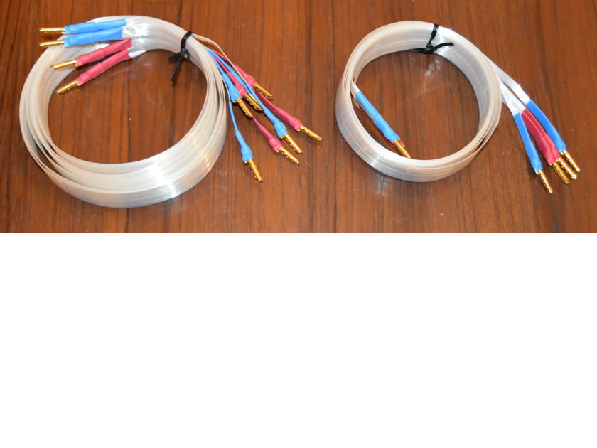 Nordost Blue Heaven Speakers cables for L/C/R speakers (used).
