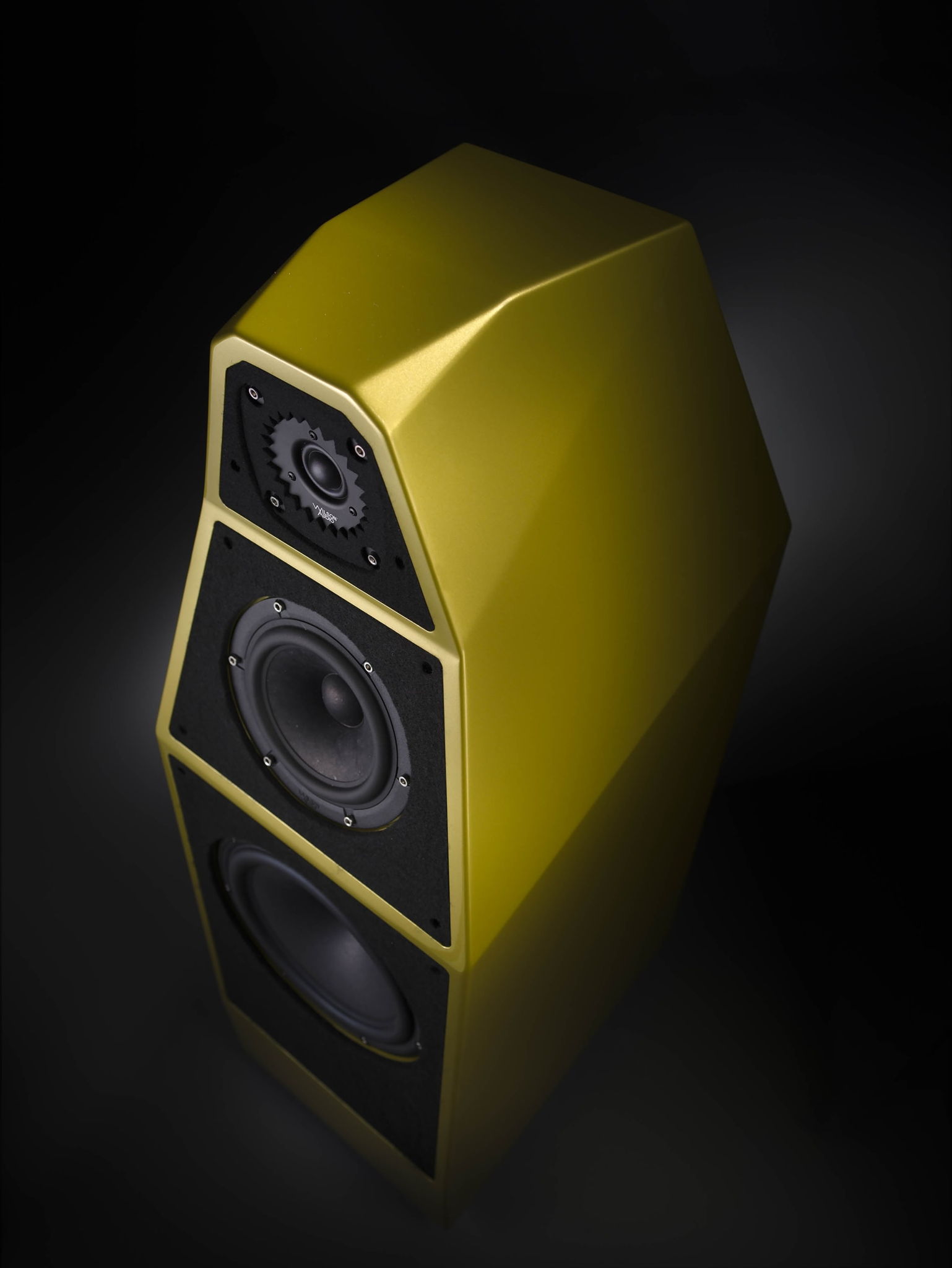 Wilson Audio Certified Authentic Never Titled Yvette Fl... 3