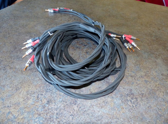 Artet Cables 10' BiWire pair Speaker