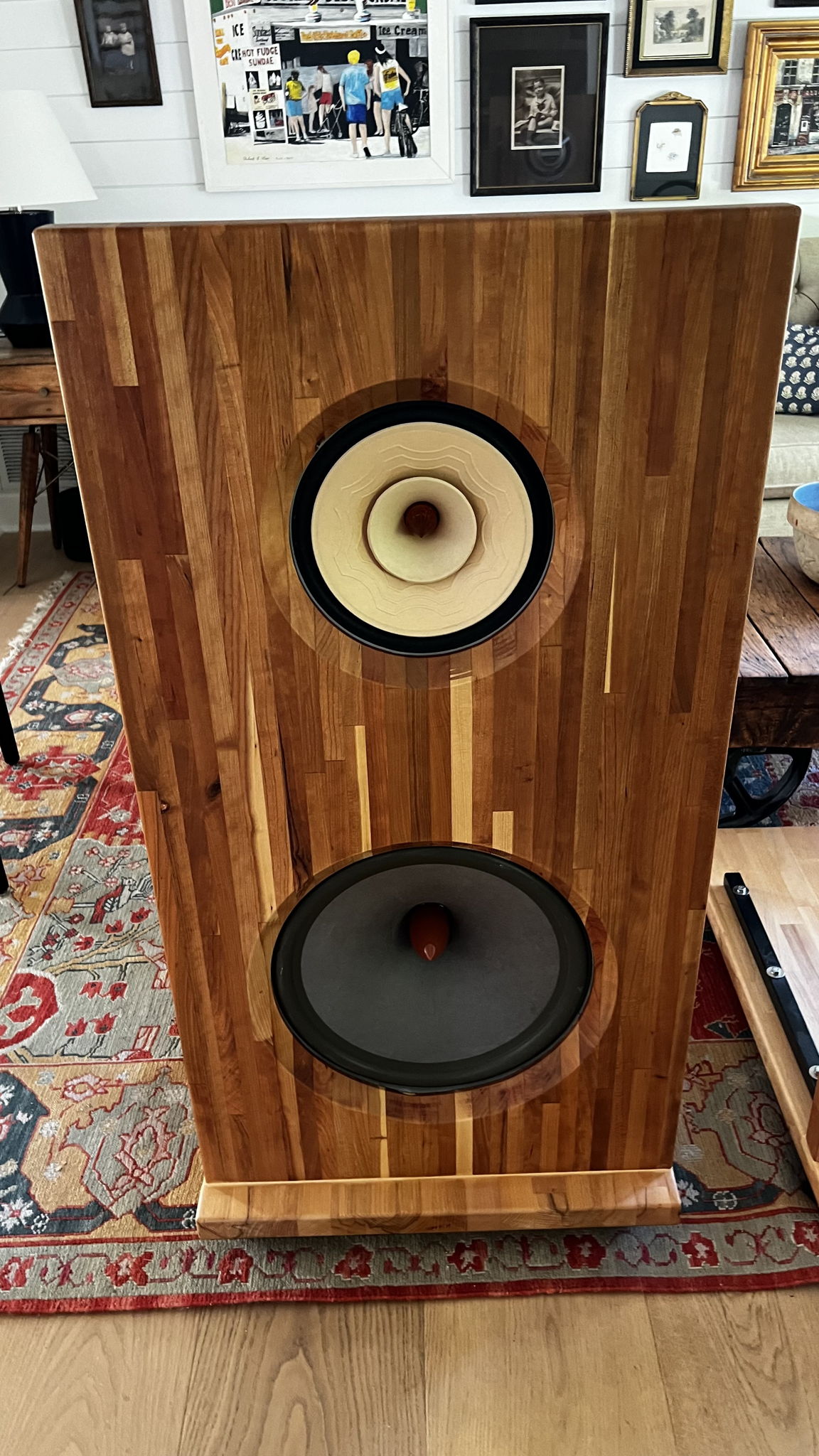 Liionidas Extreme Open Baffle Speakers DIY 3