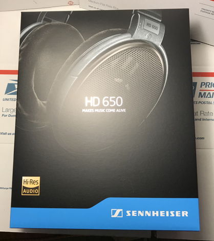 Sennheiser HD-650 Open Back Headphones