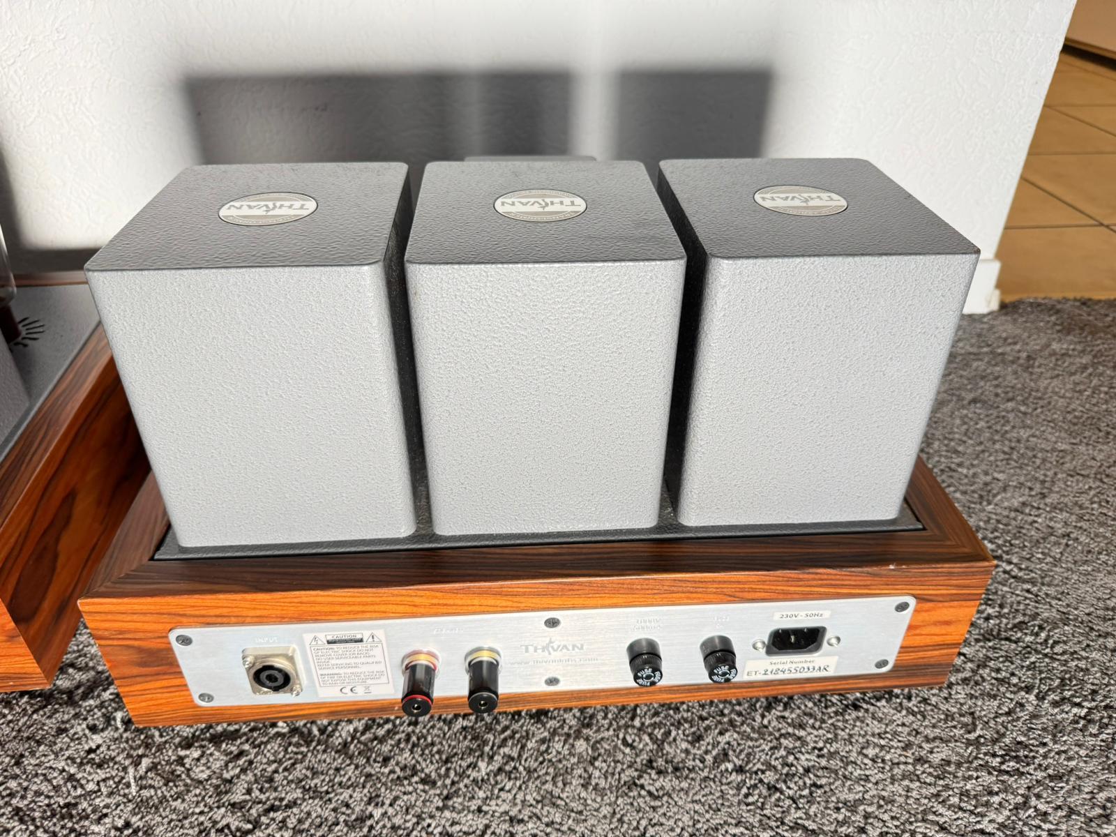 Thivan Labs Silver 845 tube integrated amplifier 16