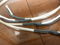 Analysis Plus Silver Two Speaker Cables, 4 ft. pair, sp... 2