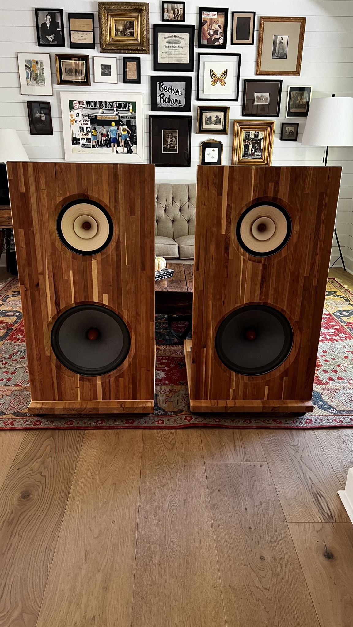 Liionidas Extreme Open Baffle Speakers DIY