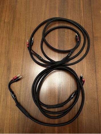 AudioQuest Type 5 speaker cables - 10 ft