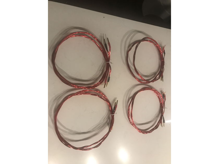 ANTICABLES Level 3.1 Speaker Cables (1 pair @ 4 feet)