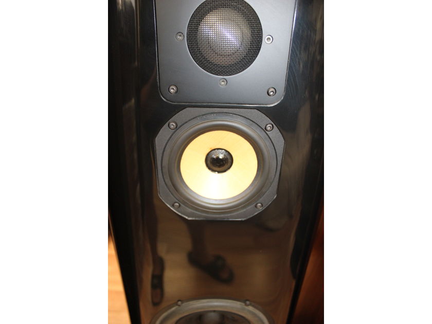 Legendary Thiel Audio CS5 Loudspeakers in Excellent Condition X Pair