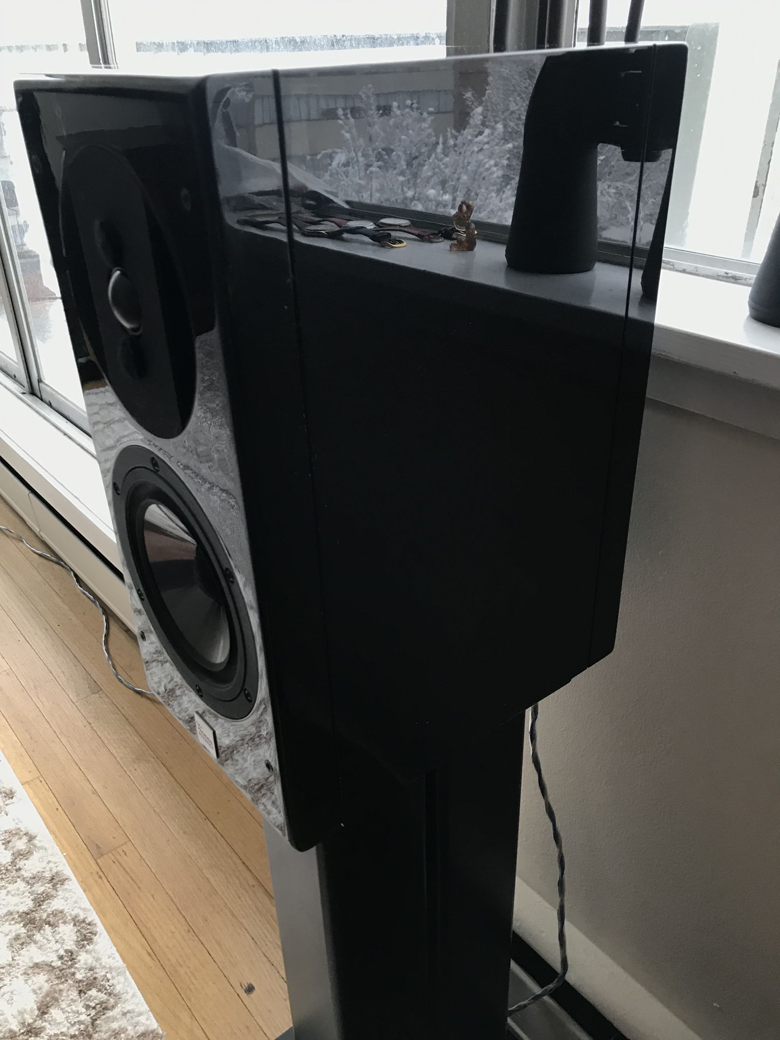 Vienna Acoustics Haydn Grand Symphony Speakers 12