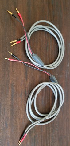 MIT Cables EXp2 Speaker Cables - 10' Length