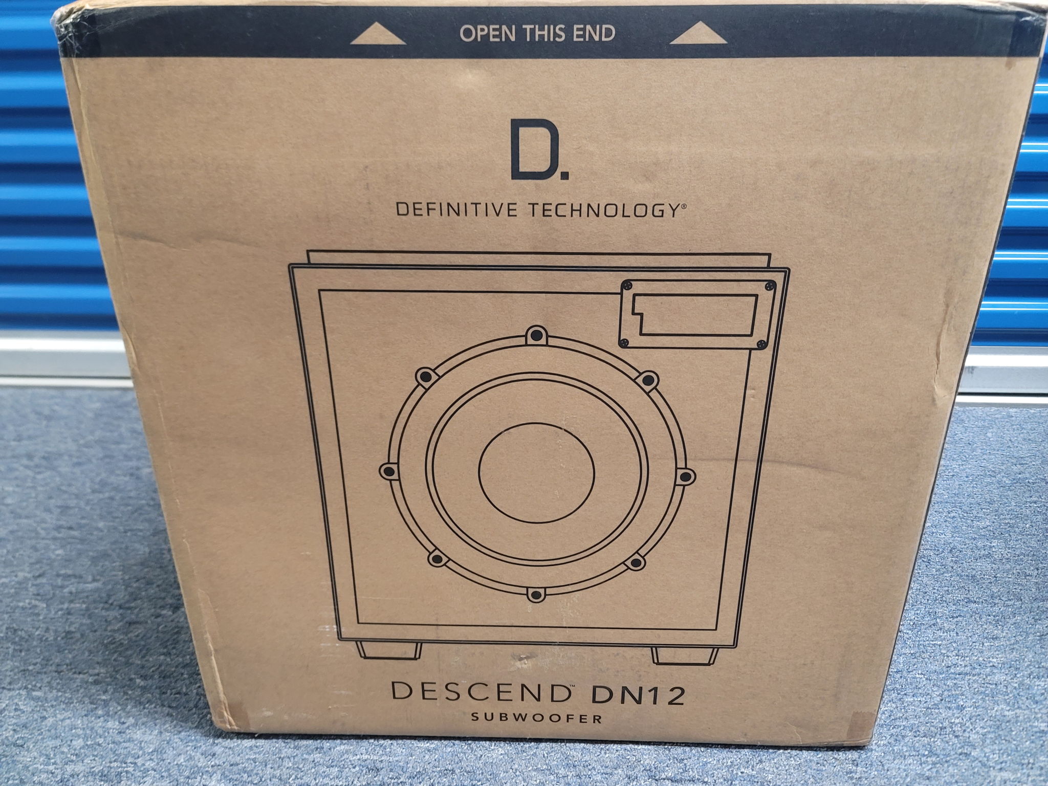 Definitive Technology Descend DN12 2