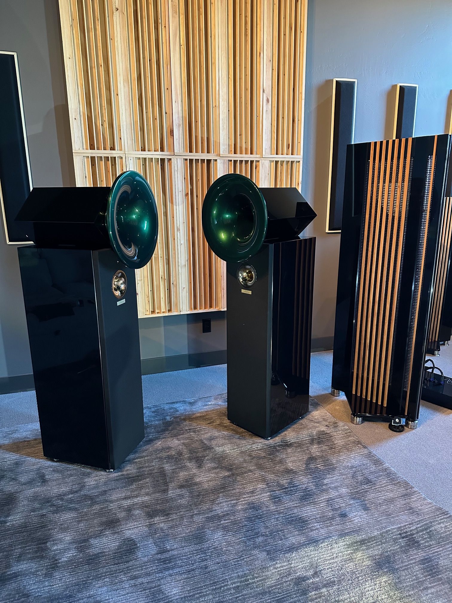 Acapella Audio Arts High Violon Suboctave Horn Speakers... 8