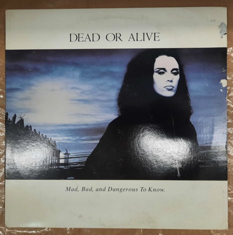Dead Or Alive – Mad, Bad And Dangerous To Know 1986 NM ...