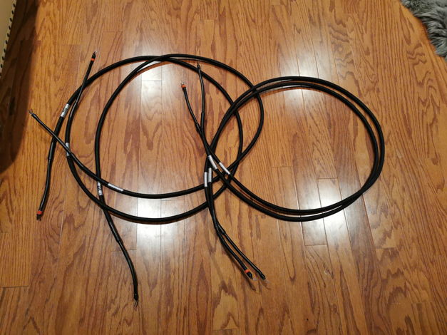 Echole Cables limited edition Speaker cables 8 feet spa...