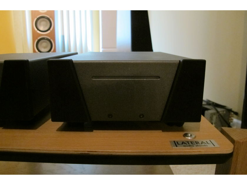 Wyred 4 Sound SX-1000R Mono Amplifiier Excellent - Store Demo
