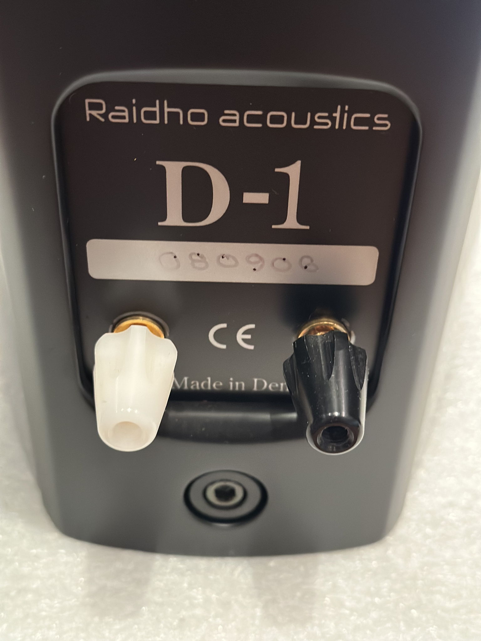 Raidho D-1 Loudspeakers with Original Stands 4