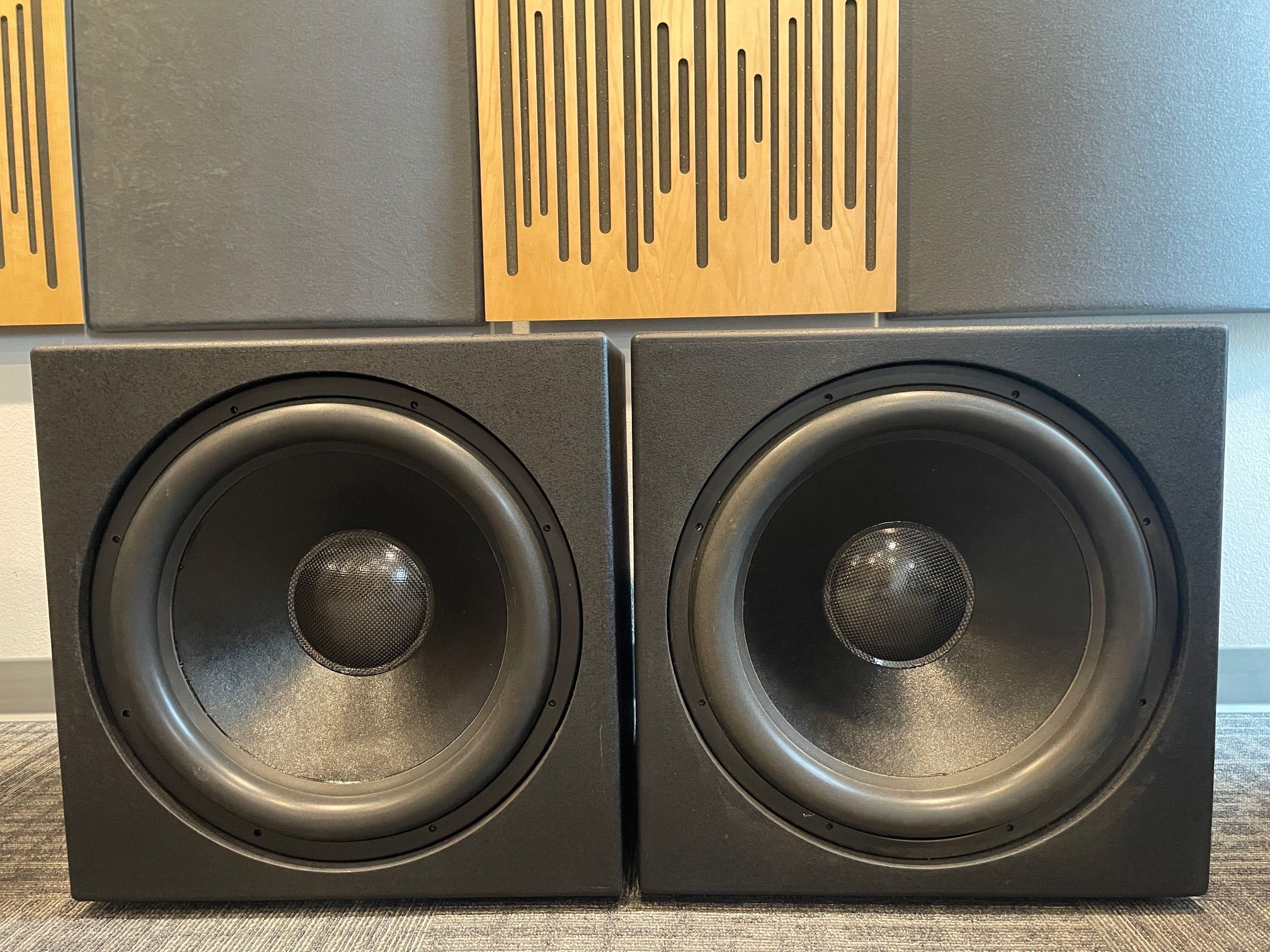 JTR Speakers Captivator RS1 Pair 2