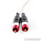 Luminous Audio Technology Synchestra Reference RCA Cabl... 3