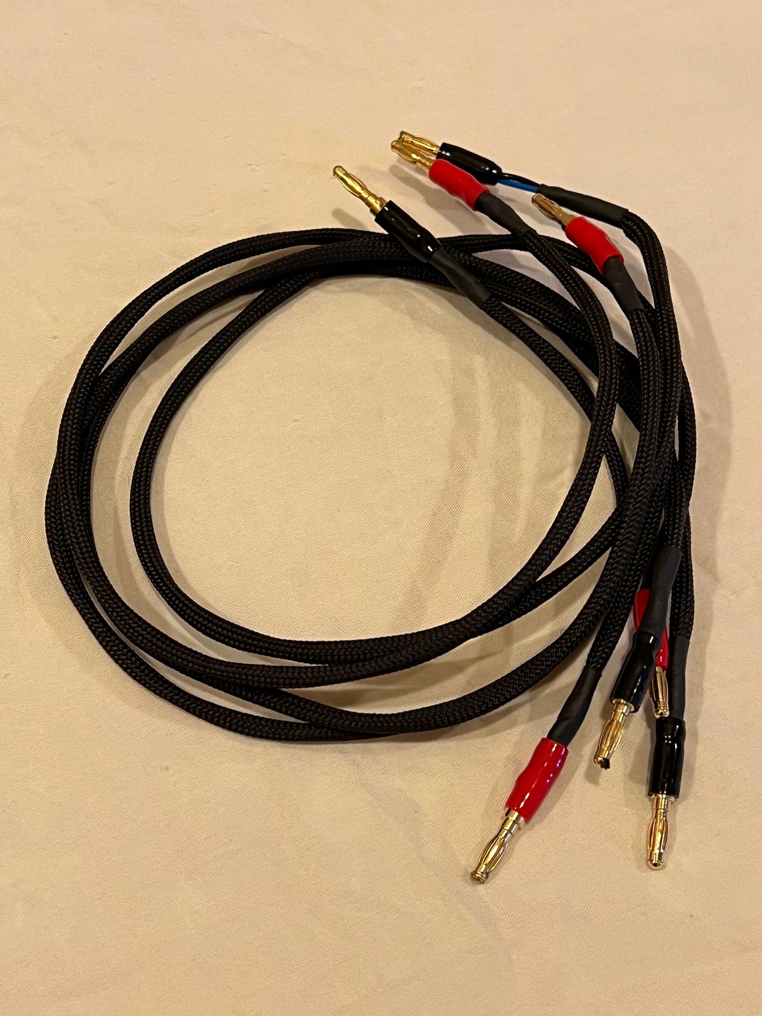 RAAL requisite SR1a ribbon headphones 12