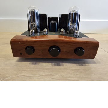 Yarland/Ariand T845S Integrated 845 Tube Amplifier Work...