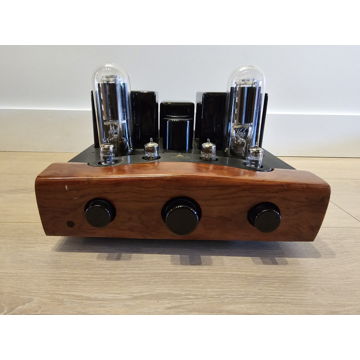 Yarland/Ariand T845S Integrated 845 Tube Amplifier