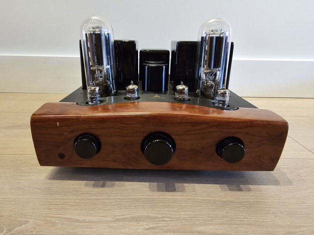 Yarland/Ariand T845S Integrated 845 Tube Amplifier