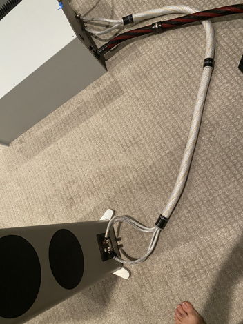 Stealth Audio Cables Dream V14 Speaker Cable 2 Meter Bi...