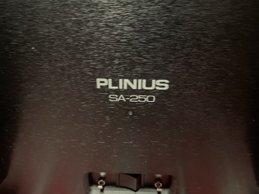Plinius  SA-250 mkIV