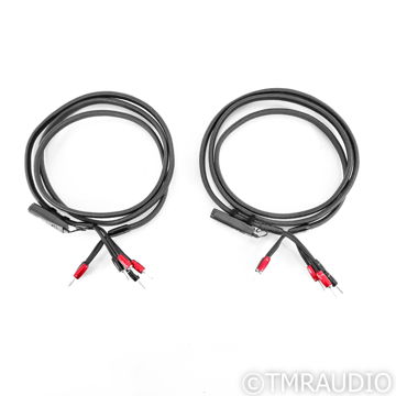 AudioQuest Meteor Bi-Wire Speaker Cables; 10ft Pair; 72...