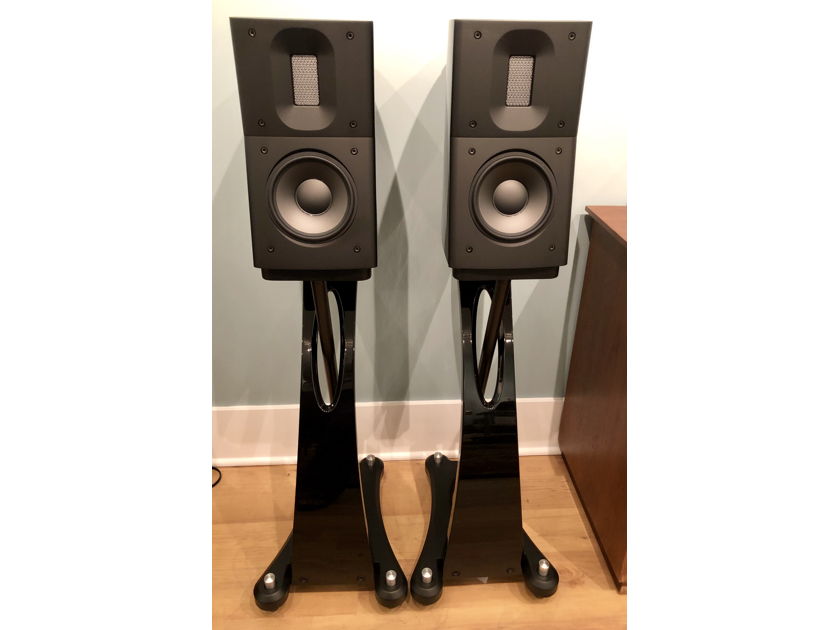 Raidho D1.1 - Priced to Sell