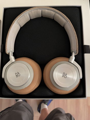 Bang & Olufsen H7 headphones