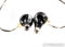 FitEar F111 In-Ear Headphones; F-111; IEM (25555) 4
