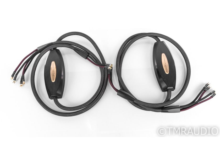 Transparent Audio MusicWave Ultra Bi-Wire Speaker Cables; 10ft Pair (21786)