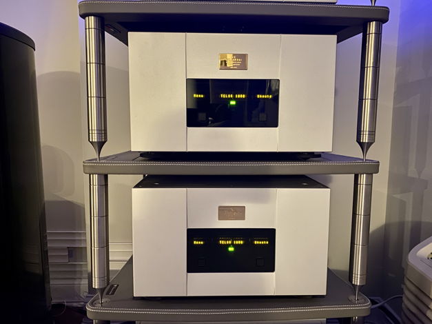 Goldmund Telos 1000 Nextgen Amplifier (pair/perfect con...